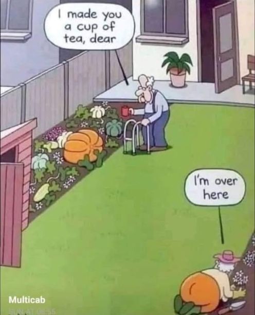 garden cup of tea.jpg